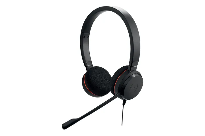 Jabra Evolve 20